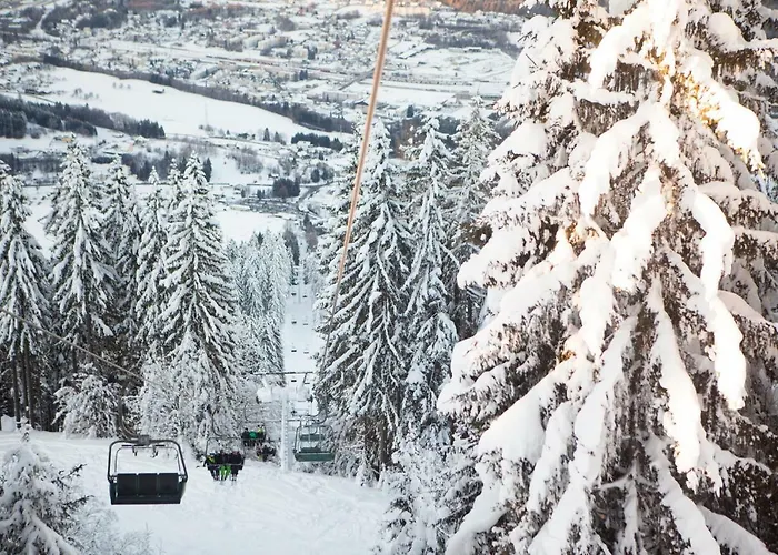 Holiday home Ferienhaeuser Glueck Auf, Sauna, Hottubs *