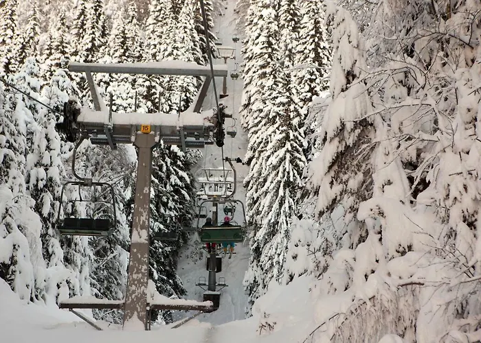 Holiday home Ferienhaeuser Glueck Auf, Sauna, Hottubs