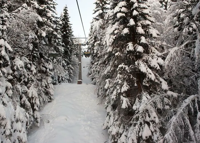 Holiday home Ferienhaeuser Glueck Auf, Sauna, Hottubs *