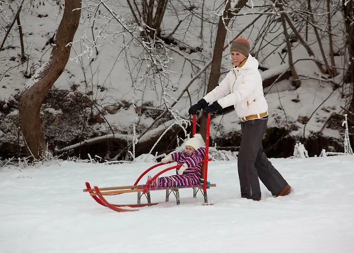 Holiday home Ferienhaeuser Glueck Auf, Sauna, Hottubs
